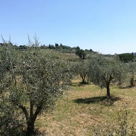 Lejlighed Dal Gioma Siena